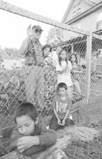 Martin Paech, here with five of his seven children, built a 6-foot fence around his home in St. Paul's Frogtown after vandals threw rocks through his windows three times. "You think I feel safe here? You got to be kidding," he told the St. Paul Pioneer Press. Photo: Chris Poludoroff/Pioneer Press