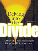 Delving into the Divide